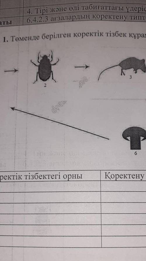 Оқу мақсаты 6.4.2.3 ағзалардың қорект В деңгей.Тапсырма 1. Төменде берілген қоректік тізбек құрамбөл