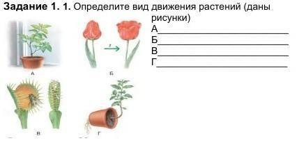 Определите вид движения растений (даны рисунки)​