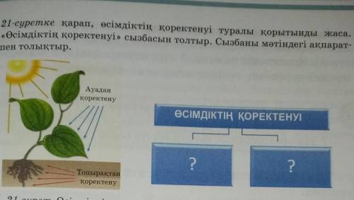 21-суретке қарап, өсімдіктің қоректенуі туралы қорытынды жаса. «Өсімдіктің қоректенуі» сызбасын толт