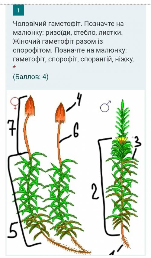 РЕБЯТ ОЧЕНЬ НАДО!буду очень благодарна кто ответит.​