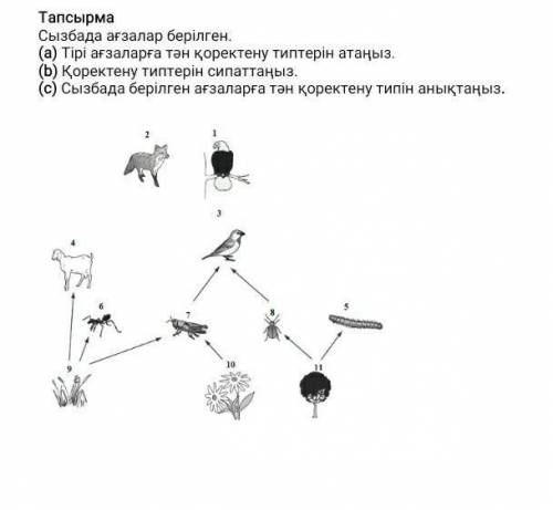 пожплуюста дам все что есть не знаете не пишите​