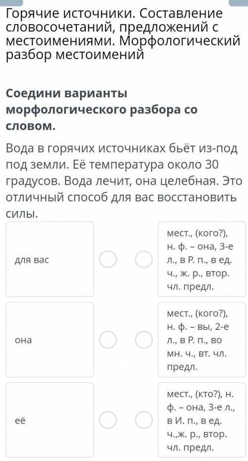 Горячие источники. Составление словосочетаний, предложений с местоимениями. Морфологический разбор м