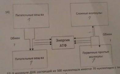 больше не у кого попросить