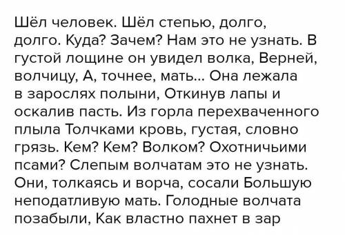 эссе от имени волчат или эссе от имени людей о.сулейменов волчата кто ответит неправильно буду банит