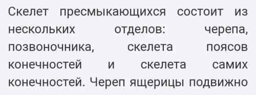 Из каких отделов состоит скелет конечнестей у пресмыкающихся​