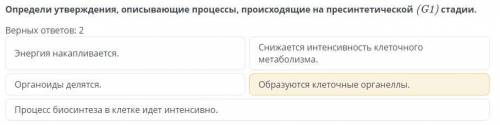 Определи утверждения, описывающие процессы, происходящие на пресинтетической стадии