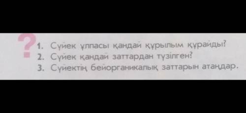 с 3 вопросами Во снизу втпросы