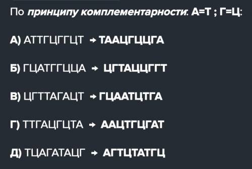 Составить схему построив комплементарную цепь ДНК