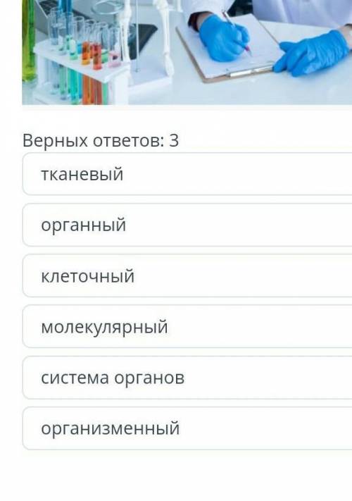 уровни организации живых организмов. .определи уровни организации тела человека , на которых он пров