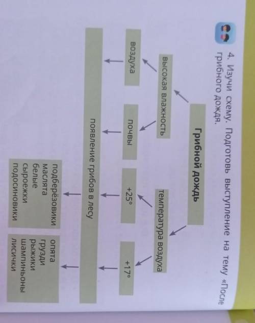 Выступление на тему грибной дождь МНЕ​