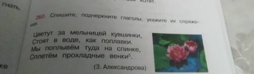 тем, кто знает, что нужно подчеркивать глаголы