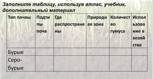 Заполните таблицу по почвам Казахстана, не нужно другие страны толькоь про Казахстан​