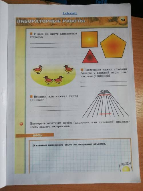 по биологии ответить про птичек про фигуры про линии