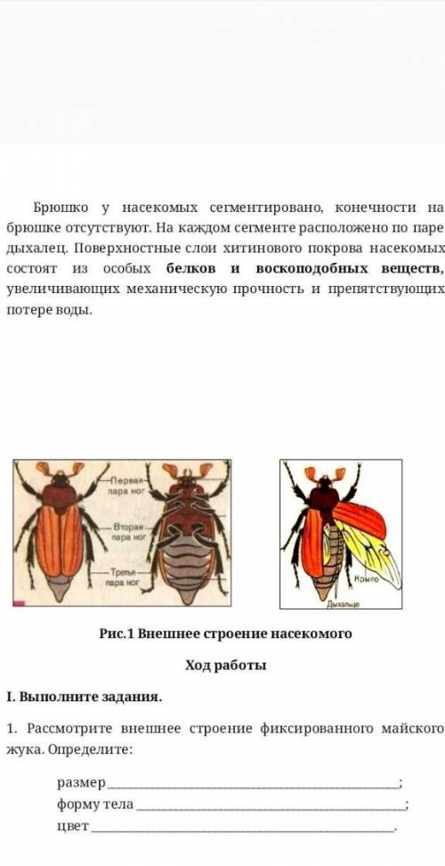 1.рассмотрите внешное строение фиксированного майского жука определите​