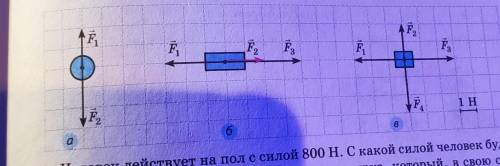 На рисунках изображены тела и силы, действующие на них (1 клетка- 1 Н). Каждый рисунок перенесите в