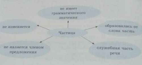 3. Сравните полученную из стихотворения информацию с данным кластером. Сделайте вывод ​