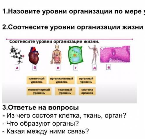 естествознания,здавать через 20 минут​