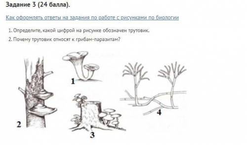 Задание 3 ( ). Как оформлять ответы на задания по работе с рисунками по биологии Определите, какой ц