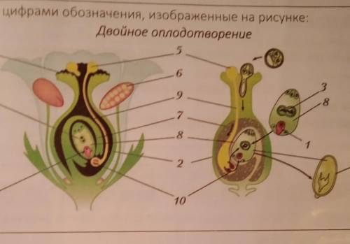 Подпишите цифрами обозначения, изображённые на рисунке