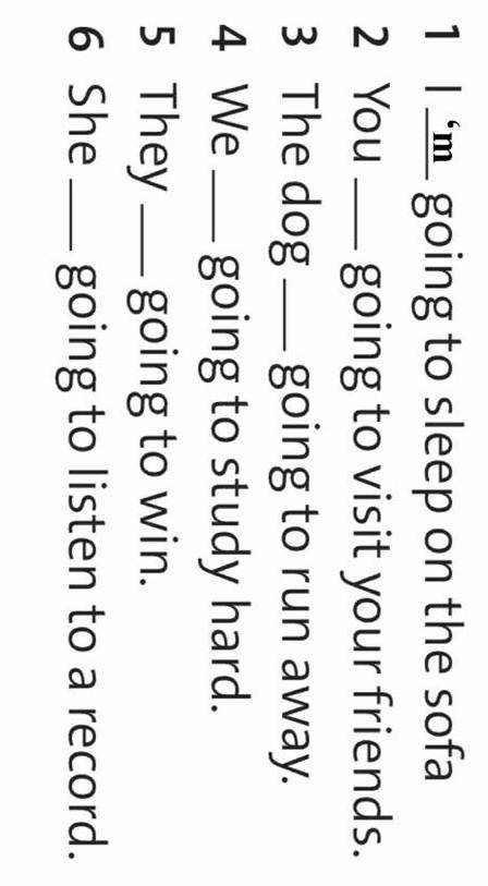 complete the sentences with the short form of be​