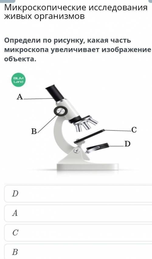 Микроскопические исследования живых организмовDACB