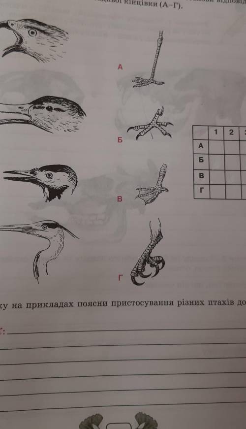 Практична робота 3. Роздивись будову дзьоба та задніх кінцівок птахів. Установи відповідністьміж дзь