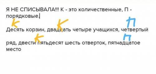 сор по русскому Определите разряды числительных. Десять корзин, двадцать четыре учащихся, четвертый