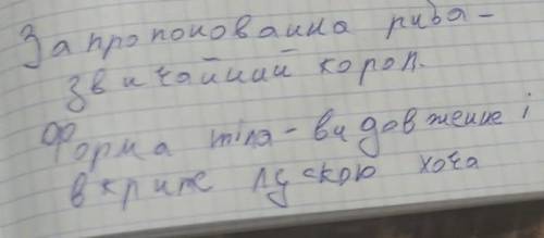 2. Запропонована рибаце- короп звичайний Форма тіла-Органи пересування (плавання)-​