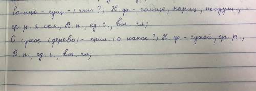 Разбор как часть речи Золотого- прил., (какого?) Н.ф-золотой и т.д. Из шерсти- сущ., (из чего?) Н.ф.