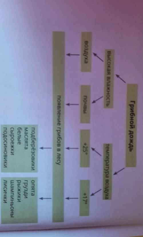 Грибного дождя. Грибной дождьвысокая влажностьтемпература воздухавоздухапочвы+25°+17°появление грибо