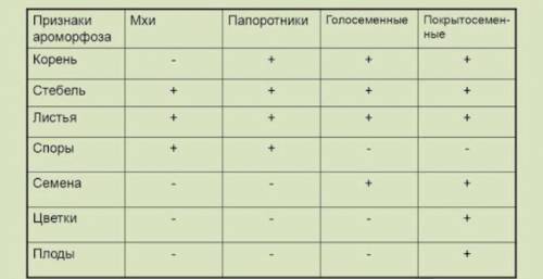 7 класс таблица мхов и папоротников​