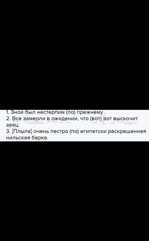 Выполнить упражнение, отметить орфограмму, выполнить упражнение, сделать синтаксический разбор 2–го