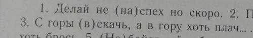 Спишите раскрывая скобки.Поставьте пропущенные знаки препинания​