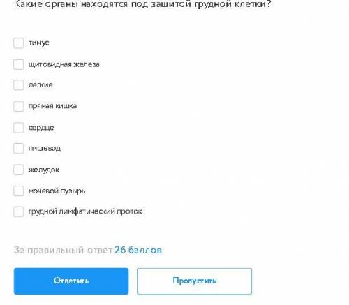 Какие органы находятся под защитой грудной клетки?