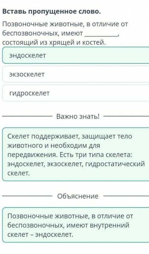 Вставь пропущенное слово. Позвоночные животные, в отличие от беспозвоночных, имеют , состоящий из х