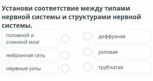 Сравнение типов нервной системы: диффузная, лестничная, узловая, трубчатая Установи соответствие меж