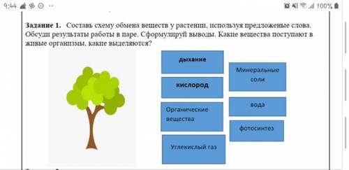 Составь схему обмена веществ у растений