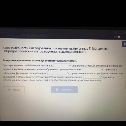 Заверши предложения, используя соответствующий термин. При скрещивании особей чистых линий, т. е. ,