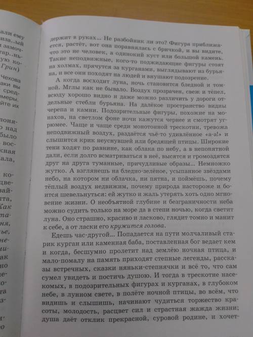 с сочинением егэ. А. Чехов Степь. Найдите проблему и комментарий к проблема. Позиция автора. Собст