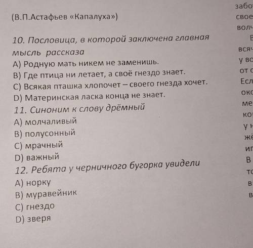 Какая пословица в которой заключена главная мысль рассказа Капалуха нужно