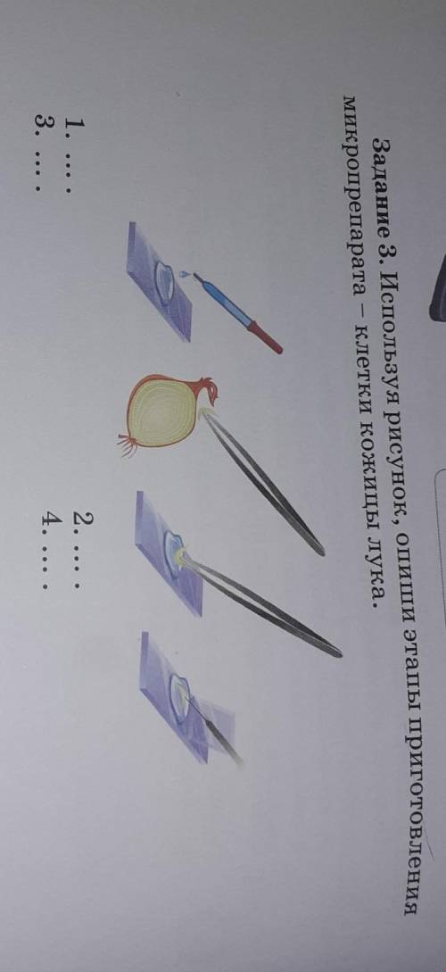 Приготовление и описание микропрепаратов клеток растений.(клетка кожицы лука и листа элодеи) подпис
