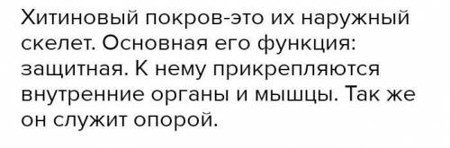 Какое значение имеет покров в жизни рака?