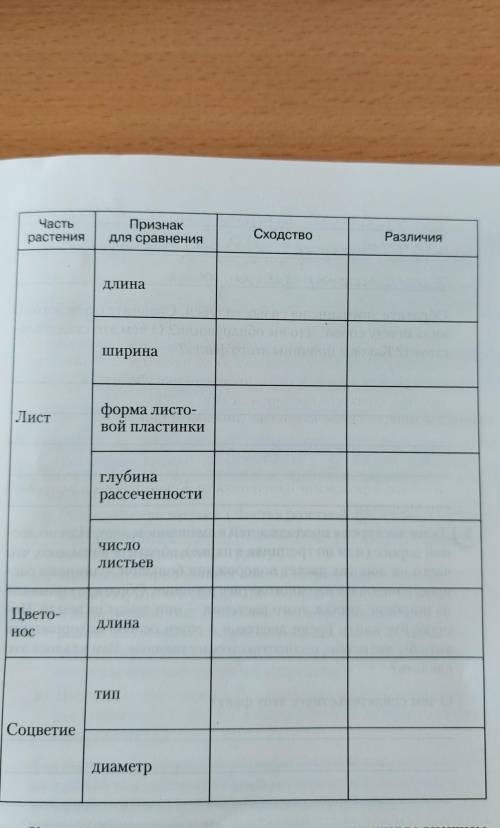 ​отметьте признаки сходства и различия между растениями одуванчики в разных местах произрастания