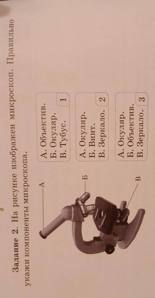 Задание 2. На рисунке изображен микроскоп. Правильно укажи компоненты Микроскопа.AА. Объектив.Б. Оку