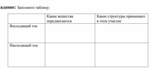 Какие вещества передвигаютсяКакие структуры принимаютв этом участиеВосходящий токНисходящий ток​