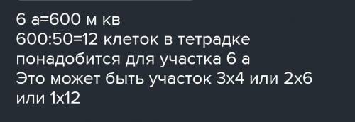 Пусть одна тетрадная клетка изображает участок площадью 50 м². Изобразите прямоугольный участок площ