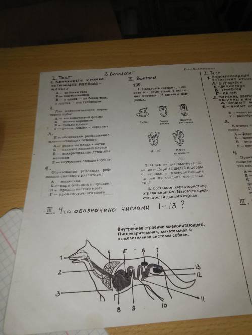 Что обозначено числами 1-13?