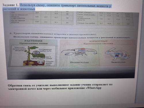 пожайлуста с естествознанием