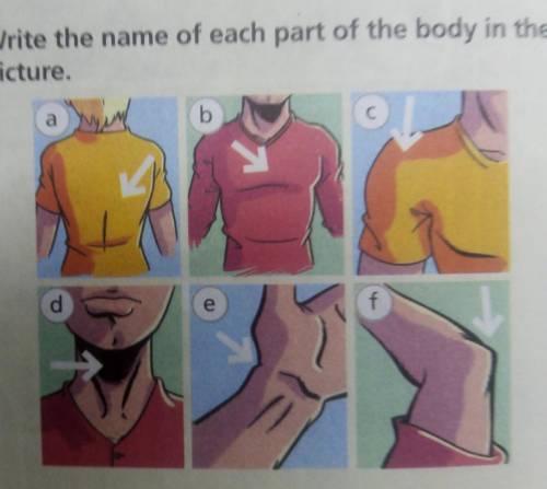 2 Write the name of each part of the body in thepicture.abC Сdef​