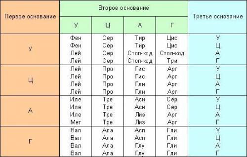 Установи с таблицы генетического кода, какую аминокислоту кодирует иРНК с кодовым триплетом УЦУ (Зап